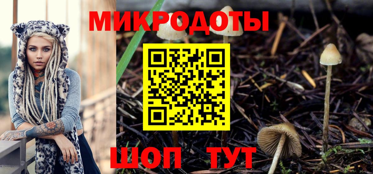 Псилоцибиновые грибы Magic Shrooms Касимов