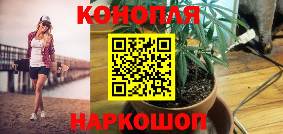 МАРИХУАНА семена Касимов